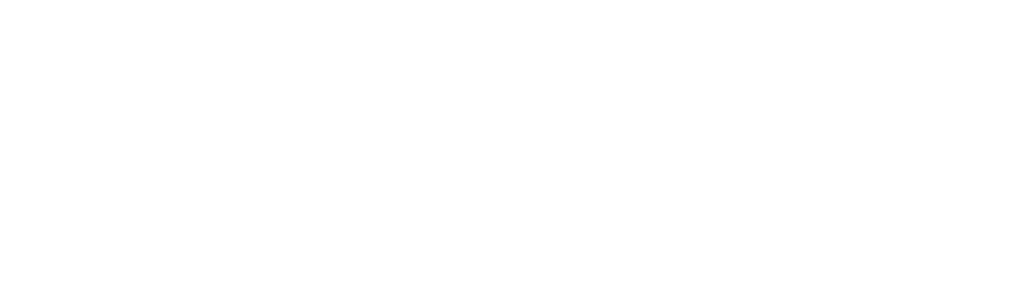 Madex Security footer